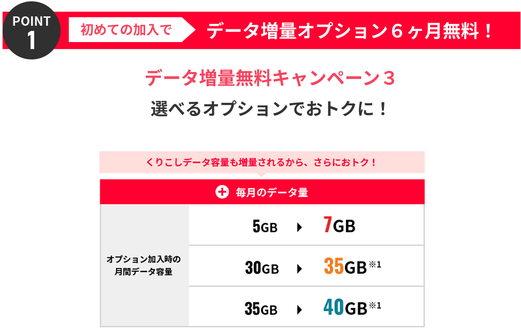 POINT1 初めての加入でデータ増量オプション6ヶ月無料！ データ増量無料キャンペーン3 選べるオプションでおトクに！